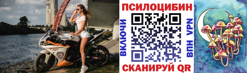 Псилоцибиновые грибы Psilocybine cubensis  Ялуторовск 